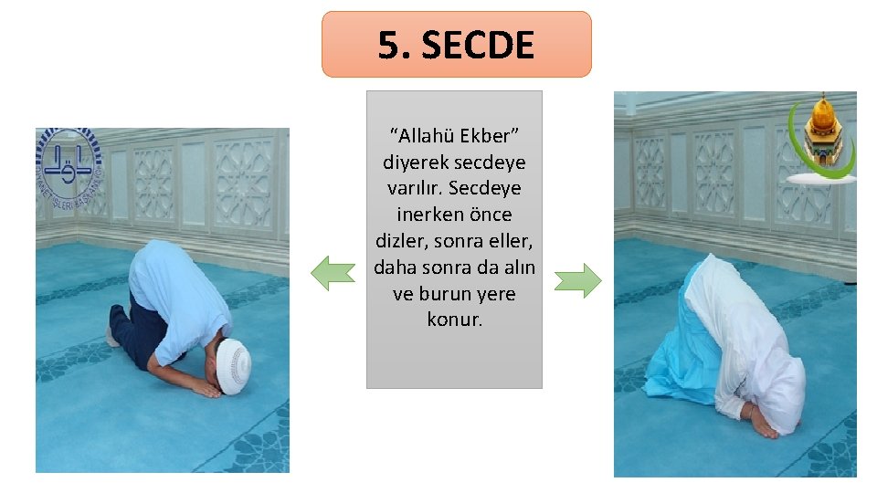 5. SECDE “Allahü Ekber” diyerek secdeye varılır. Secdeye inerken önce dizler, sonra eller, daha