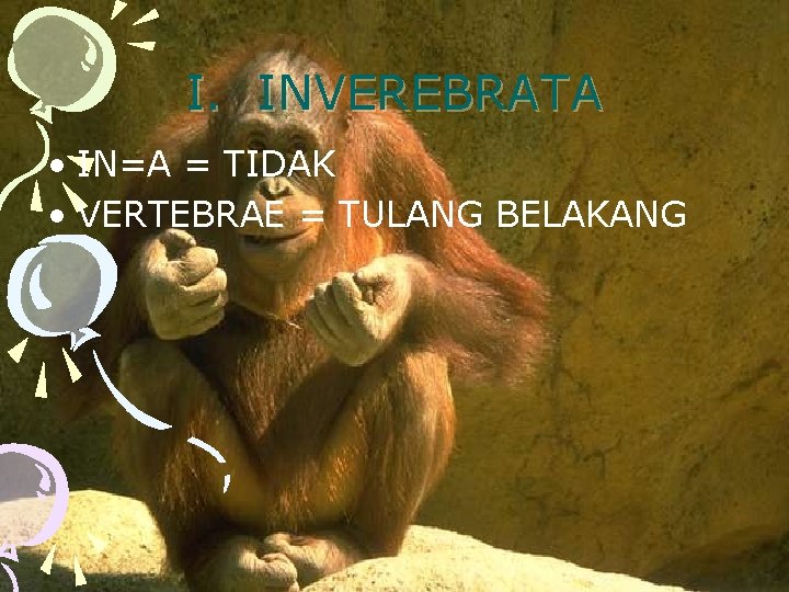 I. INVEREBRATA • IN=A = TIDAK • VERTEBRAE = TULANG BELAKANG 