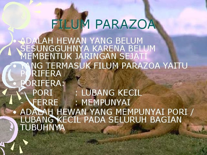 FILUM PARAZOA • ADALAH HEWAN YANG BELUM SESUNGGUHNYA KARENA BELUM MEMBENTUK JARINGAN SEJATI •