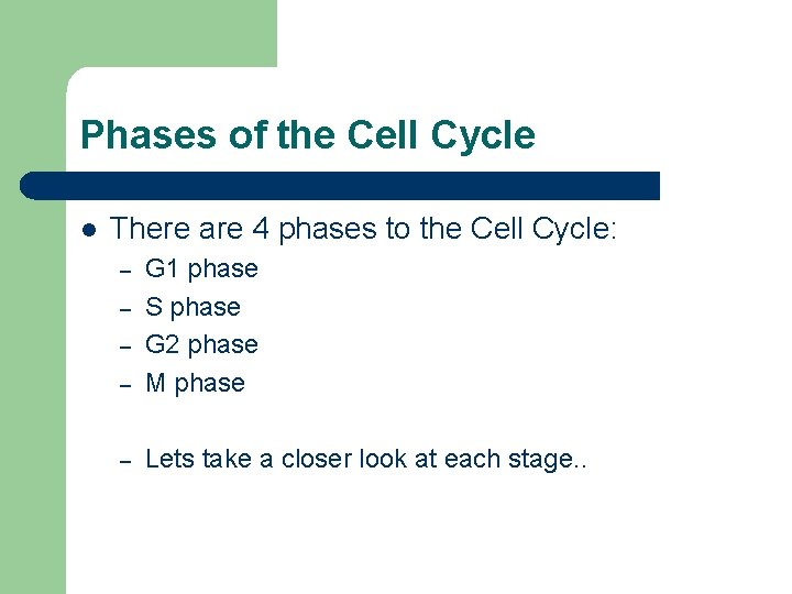 Phases of the Cell Cycle l There are 4 phases to the Cell Cycle: Phases of the Cell Cycle l There are 4 phases to the Cell Cycle: