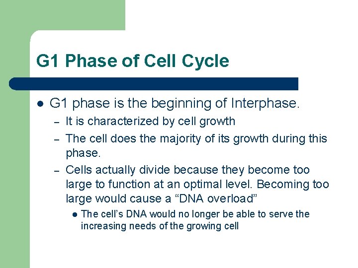 G 1 Phase of Cell Cycle l G 1 phase is the beginning of G 1 Phase of Cell Cycle l G 1 phase is the beginning of