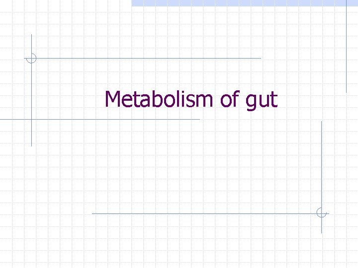 Metabolism of gut 