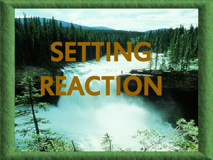 SETTING REACTION SETTING REACTION