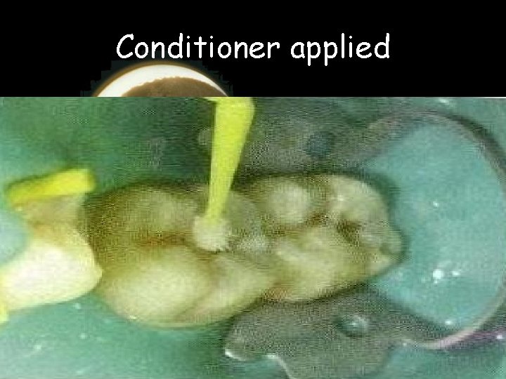 Conditioner applied Conditioner applied