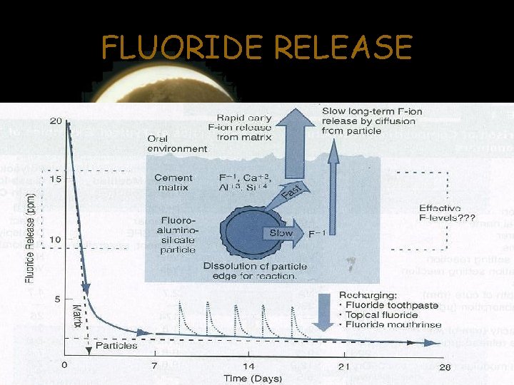 FLUORIDE RELEASE FLUORIDE RELEASE