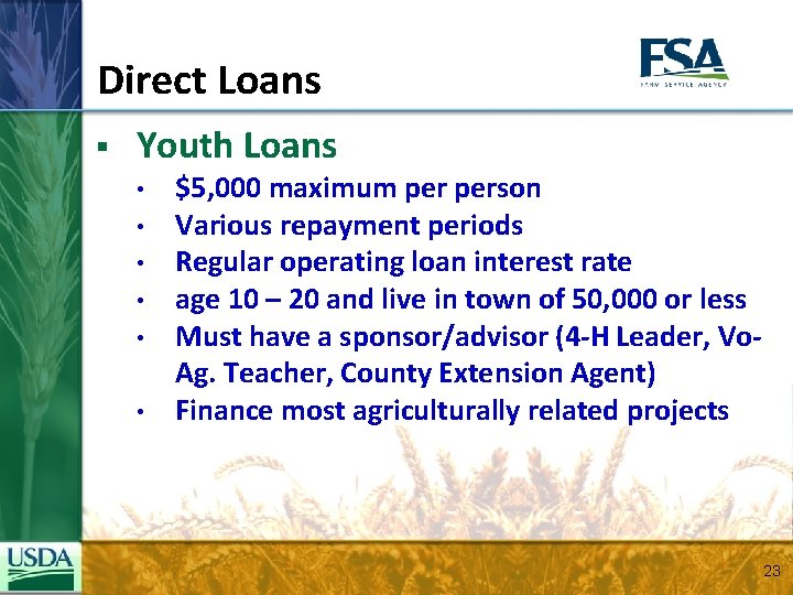 Direct Loans § Youth Loans • • • $5, 000 maximum person Various repayment