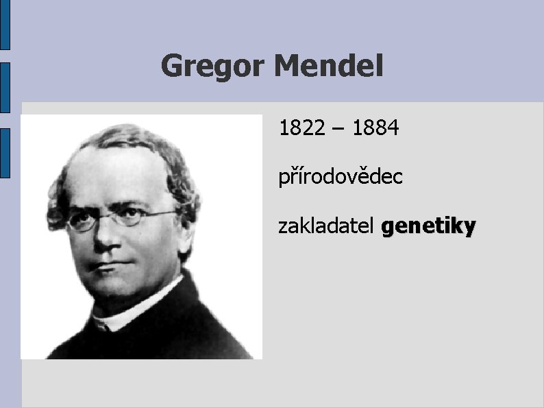 Gregor Mendel 1822 – 1884 přírodovědec zakladatel genetiky 