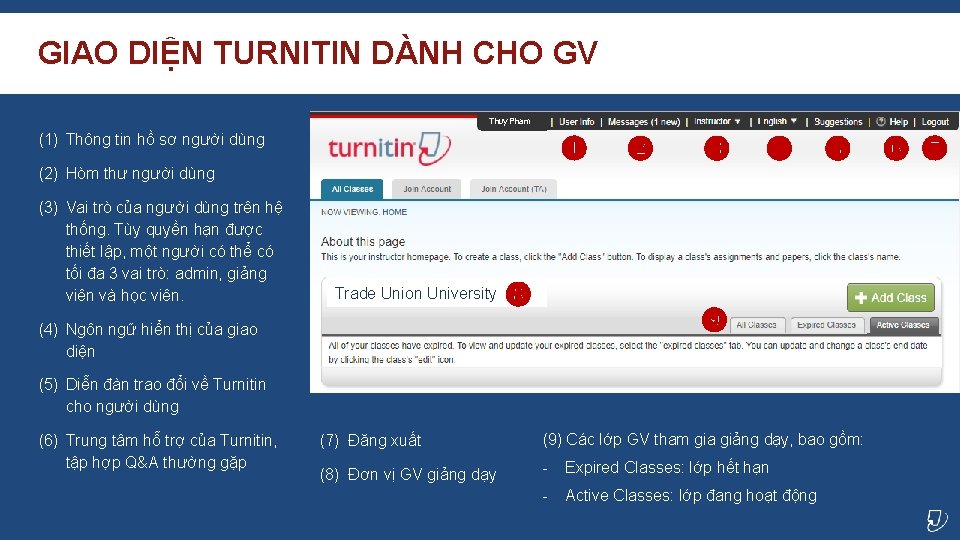 GIAO DIỆN TURNITIN DÀNH CHO GV Thuy Pham (1) Thông tin hồ sơ người