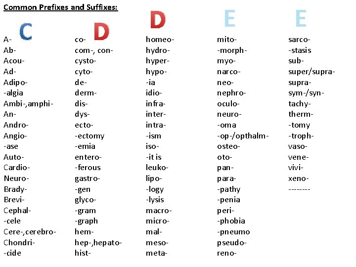 Common Prefixes and Suffixes: AAb. Acou. Adipo-algia Ambi-, amphi. Andro. Angio-ase Auto. Cardio. Neuro.