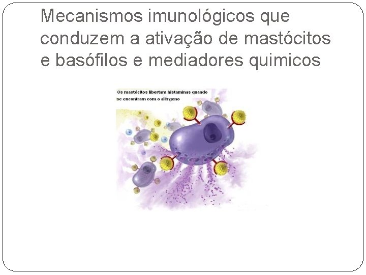 Mecanismos imunológicos que conduzem a ativação de mastócitos e basófilos e mediadores quimicos 