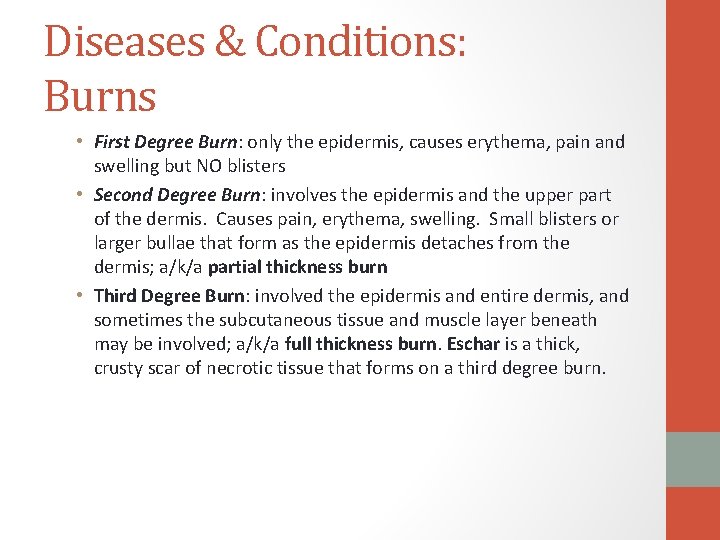 Diseases & Conditions: Burns • First Degree Burn: only the epidermis, causes erythema, pain