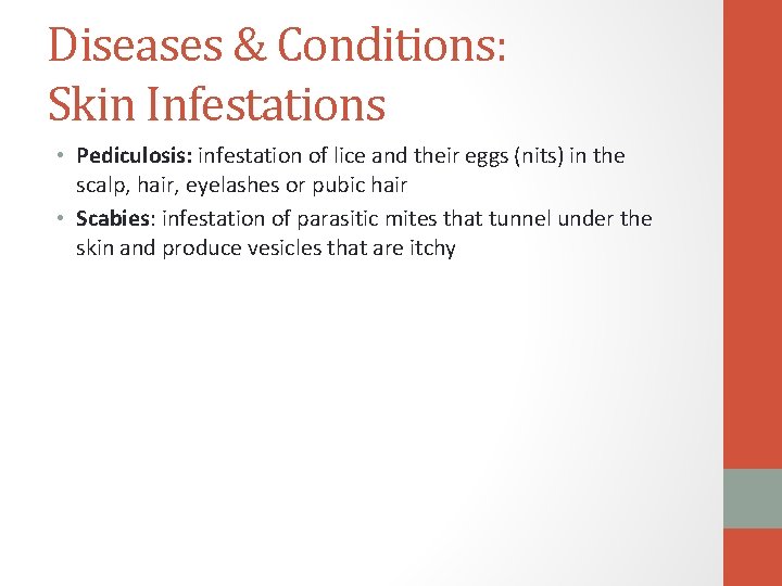 Diseases & Conditions: Skin Infestations • Pediculosis: infestation of lice and their eggs (nits)