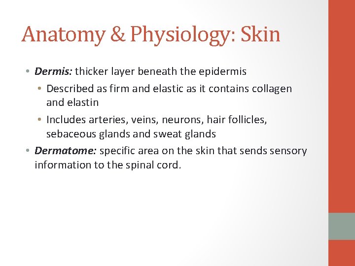 Anatomy & Physiology: Skin • Dermis: thicker layer beneath the epidermis • Described as