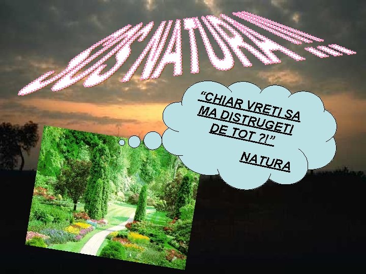 “CHIA R VRE MA D T ISTRU I SA DE TO GETI T ?