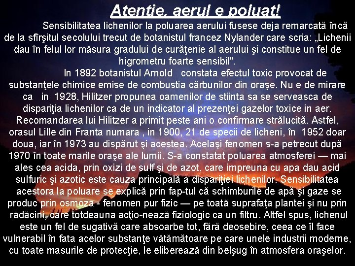 Atenţie, aerul e poluat! Sensibilitatea lichenilor la poluarea aerului fusese deja remarcată încă de