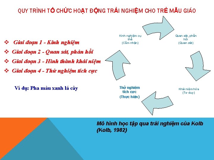 QUY TRÌNH TỔ CHỨC HOẠT ĐỘNG TRẢI NGHIỆM CHO TRẺ MẪU GIÁO Kinh nghiệm