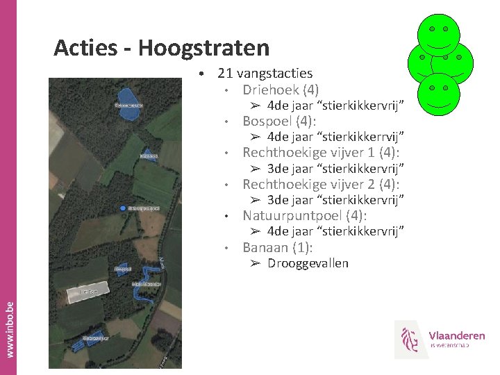 Acties - Hoogstraten • 21 vangstacties • Driehoek (4) • Bospoel (4): • Rechthoekige