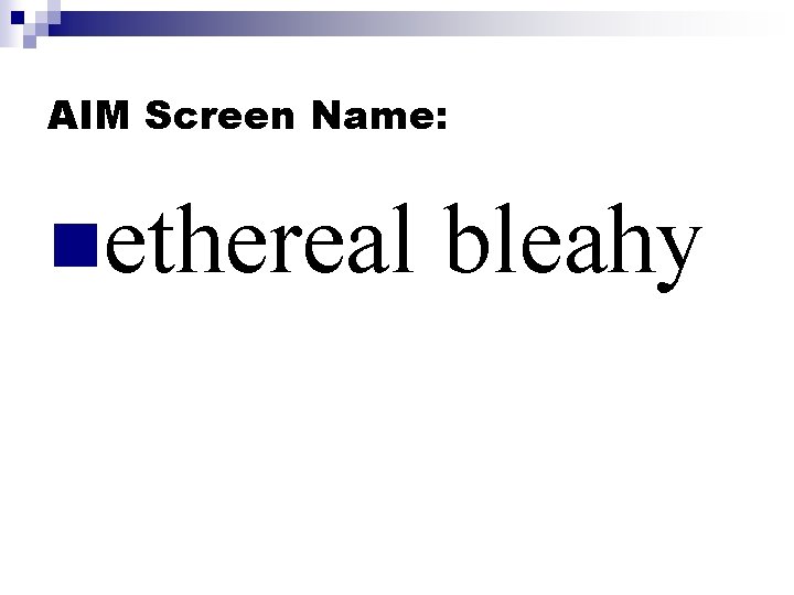AIM Screen Name: nethereal bleahy 