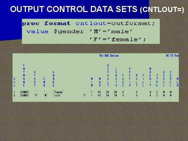 OUTPUT CONTROL DATA SETS (CNTLOUT=) 