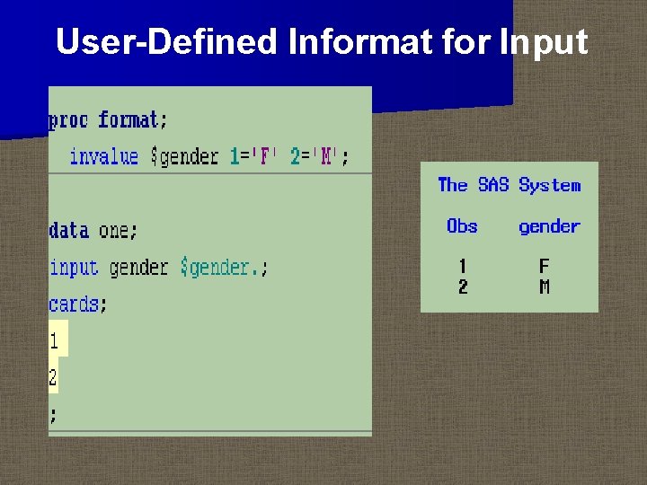 User-Defined Informat for Input 