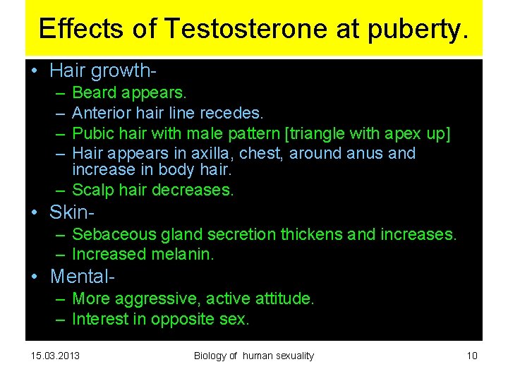 Effects of Testosterone at puberty. • Hair growth– – Beard appears. Anterior hair line Effects of Testosterone at puberty. • Hair growth– – Beard appears. Anterior hair line