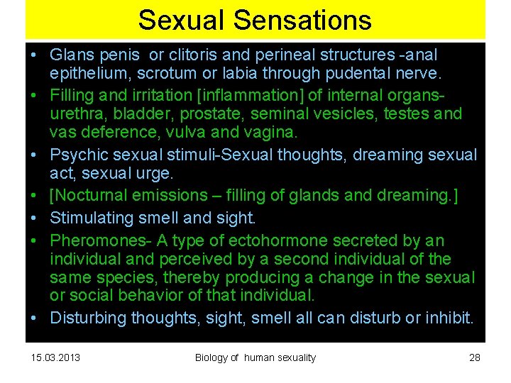 Sexual Sensations • Glans penis or clitoris and perineal structures -anal epithelium, scrotum or Sexual Sensations • Glans penis or clitoris and perineal structures -anal epithelium, scrotum or