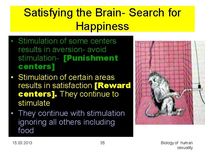 Satisfying the Brain- Search for Happiness • Stimulation of some centers results in aversion- Satisfying the Brain- Search for Happiness • Stimulation of some centers results in aversion-