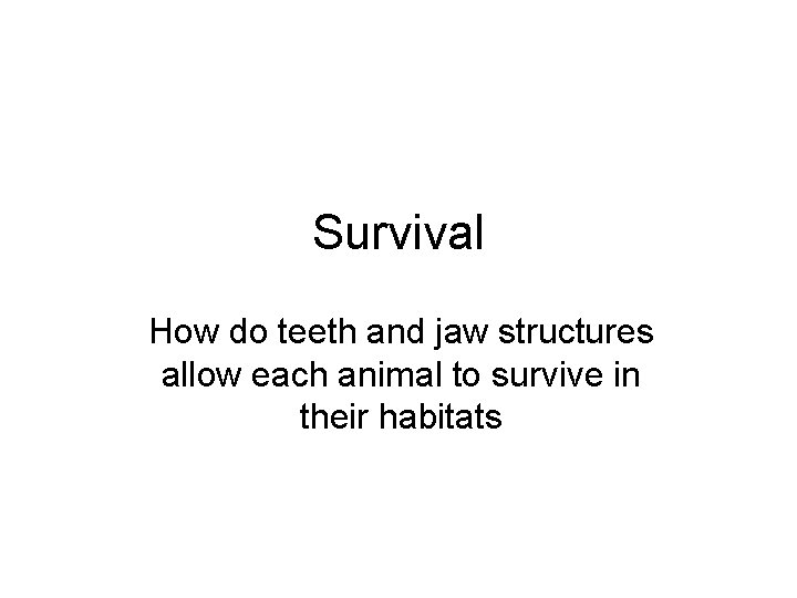 Survival How do teeth and jaw structures allow each animal to survive in their Survival How do teeth and jaw structures allow each animal to survive in their