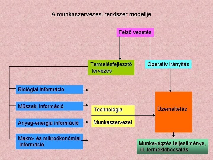 A munkaszervezési rendszer modellje Felső vezetés Termelésfejlesztő tervezés Operatív irányítás Biológiai információ Műszaki információ