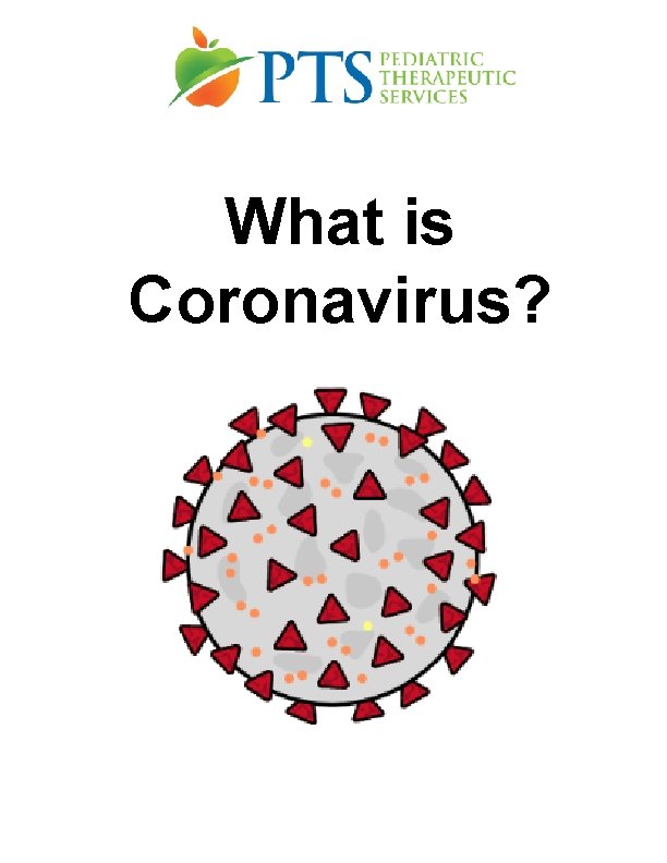 What is Coronavirus? 