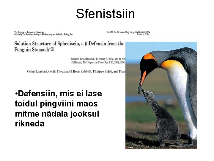 Sfenistsiin • Defensiin, mis ei lase toidul pingviini maos mitme nädala jooksul rikneda 