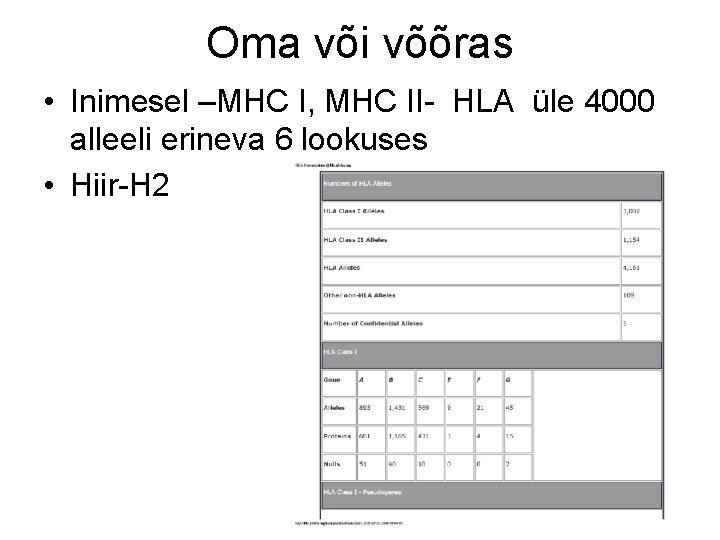 Oma või võõras • Inimesel –MHC I, MHC II- HLA üle 4000 alleeli erineva