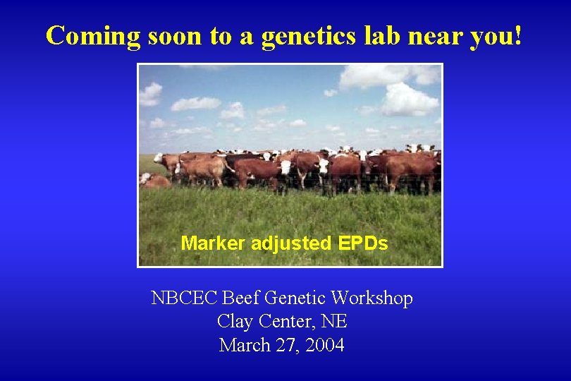 Coming soon to a genetics lab near you! Marker adjusted EPDs NBCEC Beef Genetic