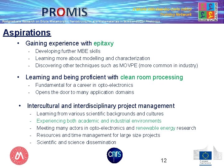 PROMIS A Marie Skłodowska-Curie Initial Training Network Postgraduate Research on Dilute Metamorphic Nanostructures and