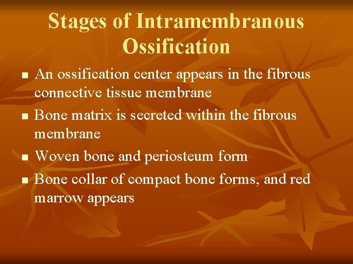 Stages of Intramembranous Ossification n n An ossification center appears in the fibrous connective