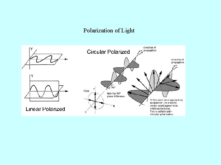 Polarization of Light 
