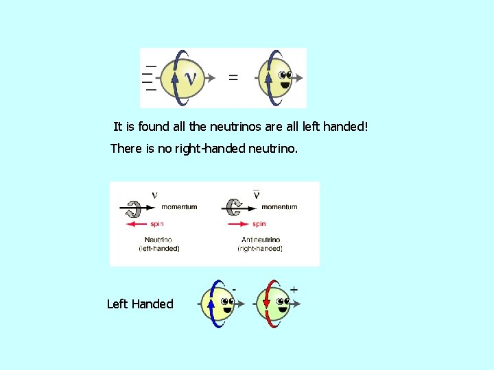 It is found all the neutrinos are all left handed! There is no right-handed