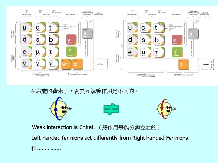左右旋的費米子，弱交互規範作用是不同的。 Weak interaction is Chiral. （弱作用是能分辨左右的） Left-handed fermions act differently from Right handed Fermions.