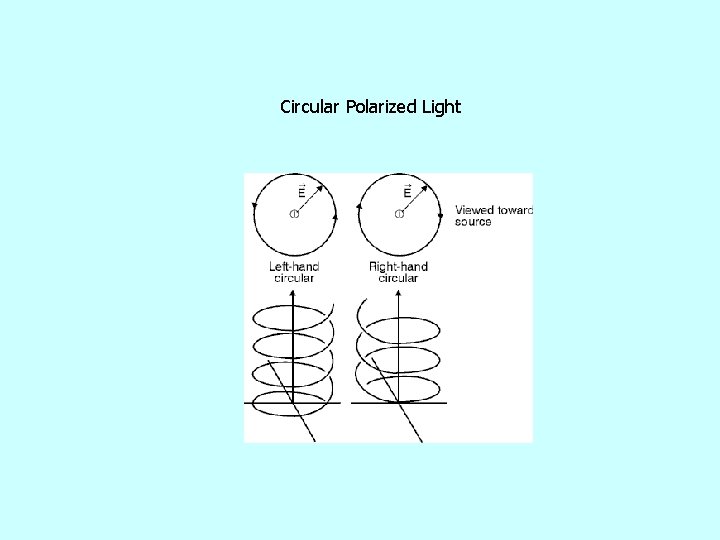Circular Polarized Light 