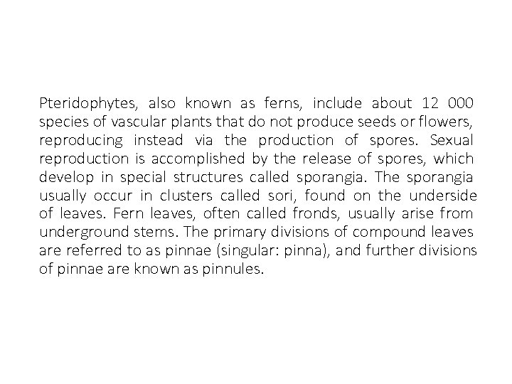 Pteridophytes, also known as ferns, include about 12 000 species of vascular plants that