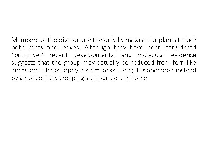 Members of the division are the only living vascular plants to lack both roots