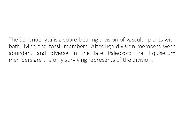 The Sphenophyta is a spore-bearing division of vascular plants with both living and fossil