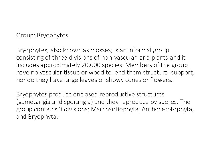 Group: Bryophytes, also known as mosses, is an informal group consisting of three divisions