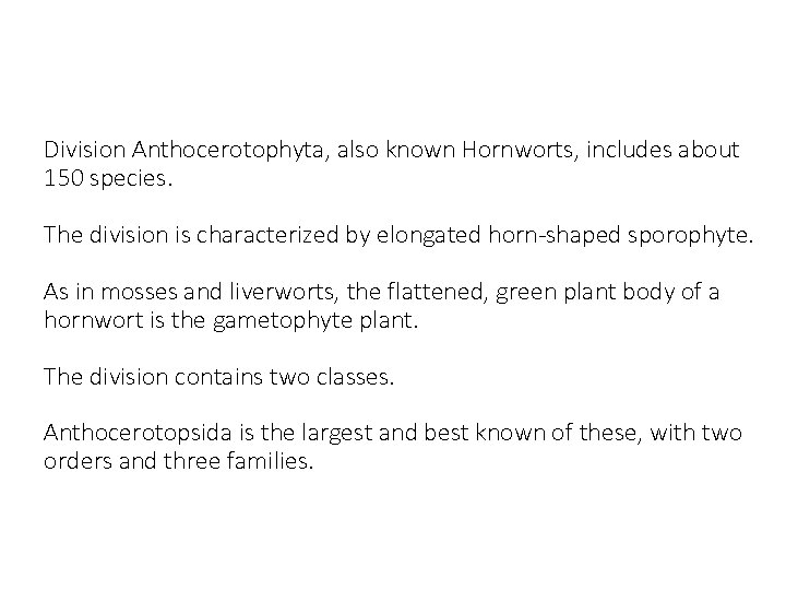 Division Anthocerotophyta, also known Hornworts, includes about 150 species. The division is characterized by