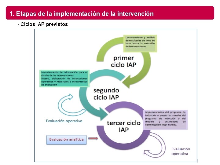 1. Etapas de la implementación de la intervención - Ciclos IAP previstos 
