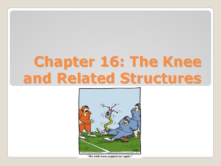 Chapter 16: The Knee and Related Structures 