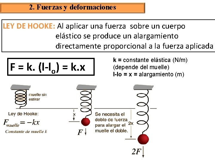 2. Fuerzas y deformaciones LEY DE HOOKE: Al aplicar una fuerza sobre un cuerpo