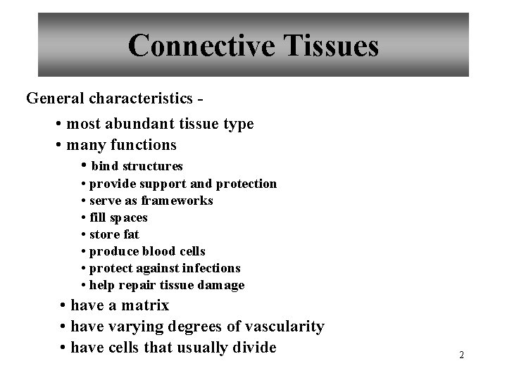 Connective Tissues General characteristics - • most abundant tissue type • many functions •