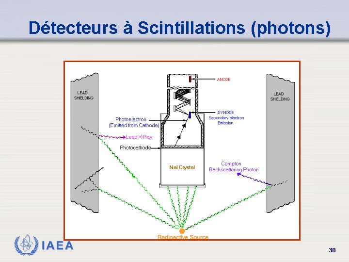 Détecteurs à Scintillations (photons) IAEA 30 
