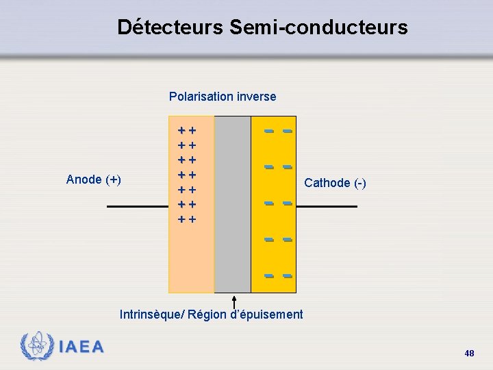 Détecteurs Semi-conducteurs Polarisation inverse Anode (+) ++ ++ ------ Cathode (-) Intrinsèque/ Région d’épuisement